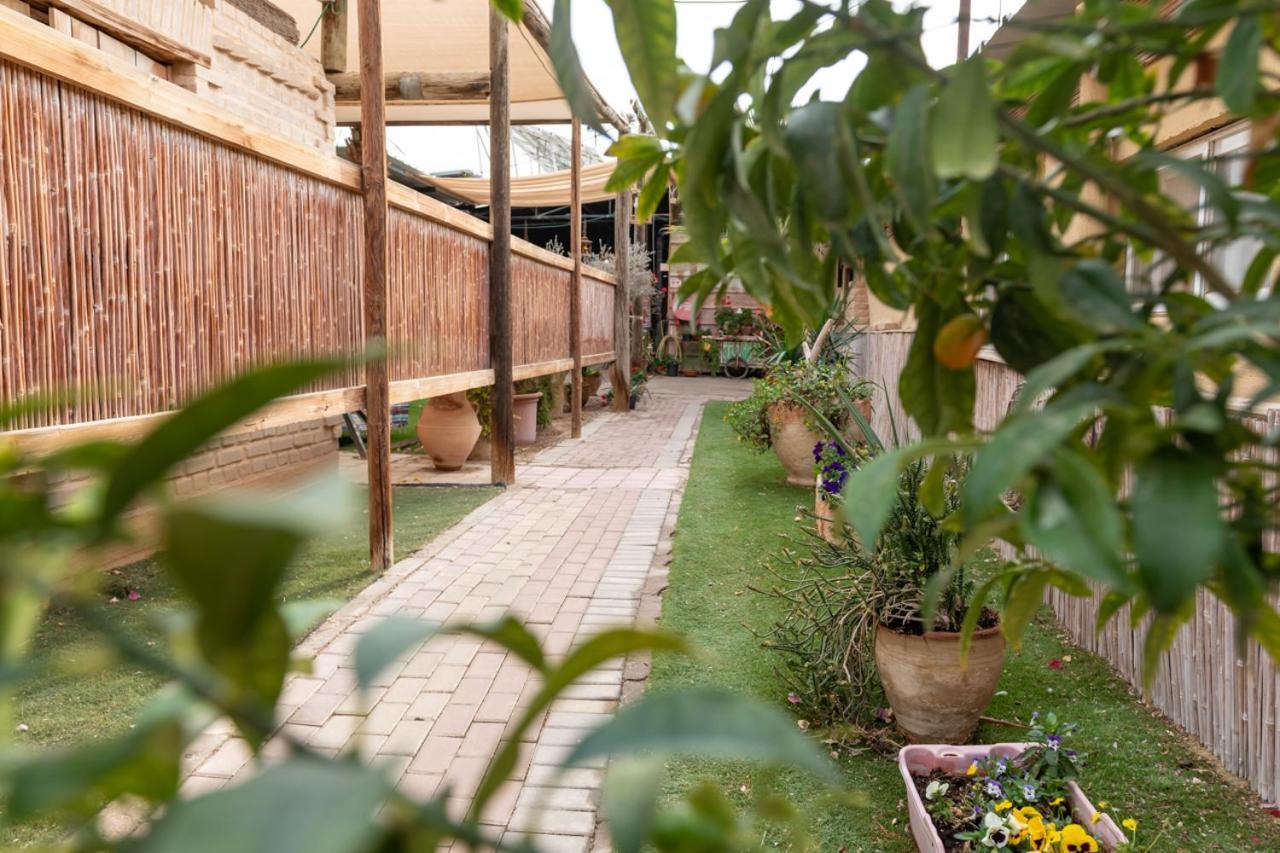 Desert Routes Inn Shvilim Ba Midbar Hazeva Exterior photo